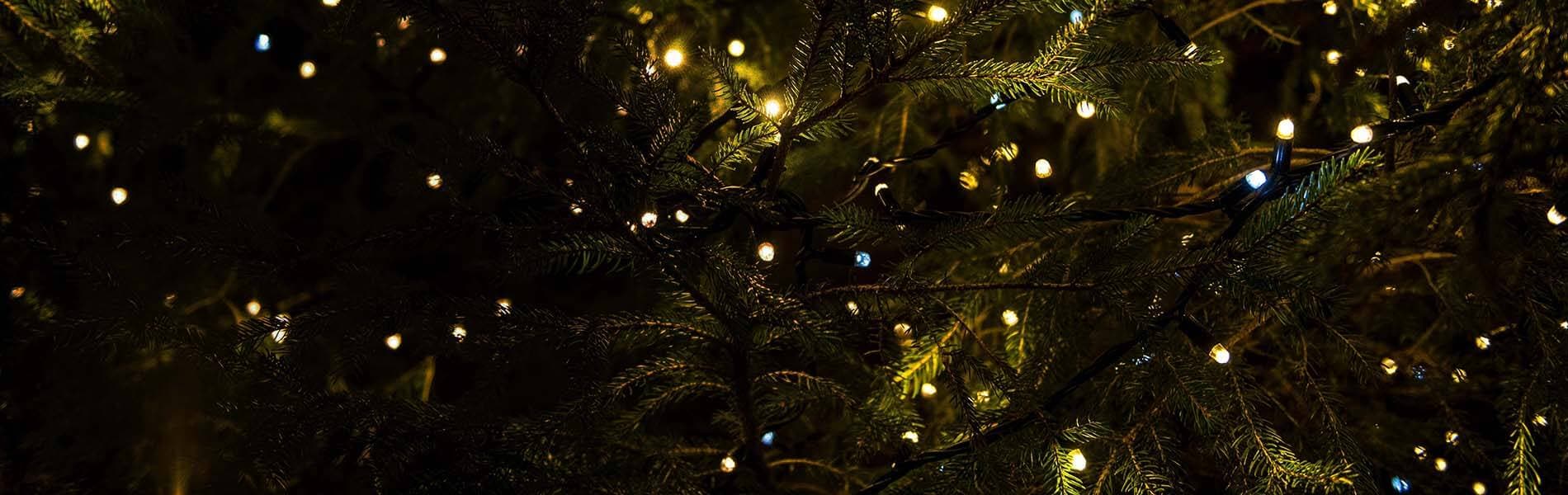 Billede af grantræ med julebelysning